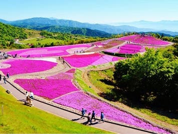 中部発　日帰り　春いっぱいココロ踊る♪新鮮野菜の食べ放題＆詰め放題！茶臼山高原芝桜と天竜峡そらさんぽ！