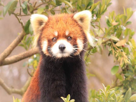 中部発　日帰り　そば　そば　そば！　～行列のできる越前そばの名店巡り～3