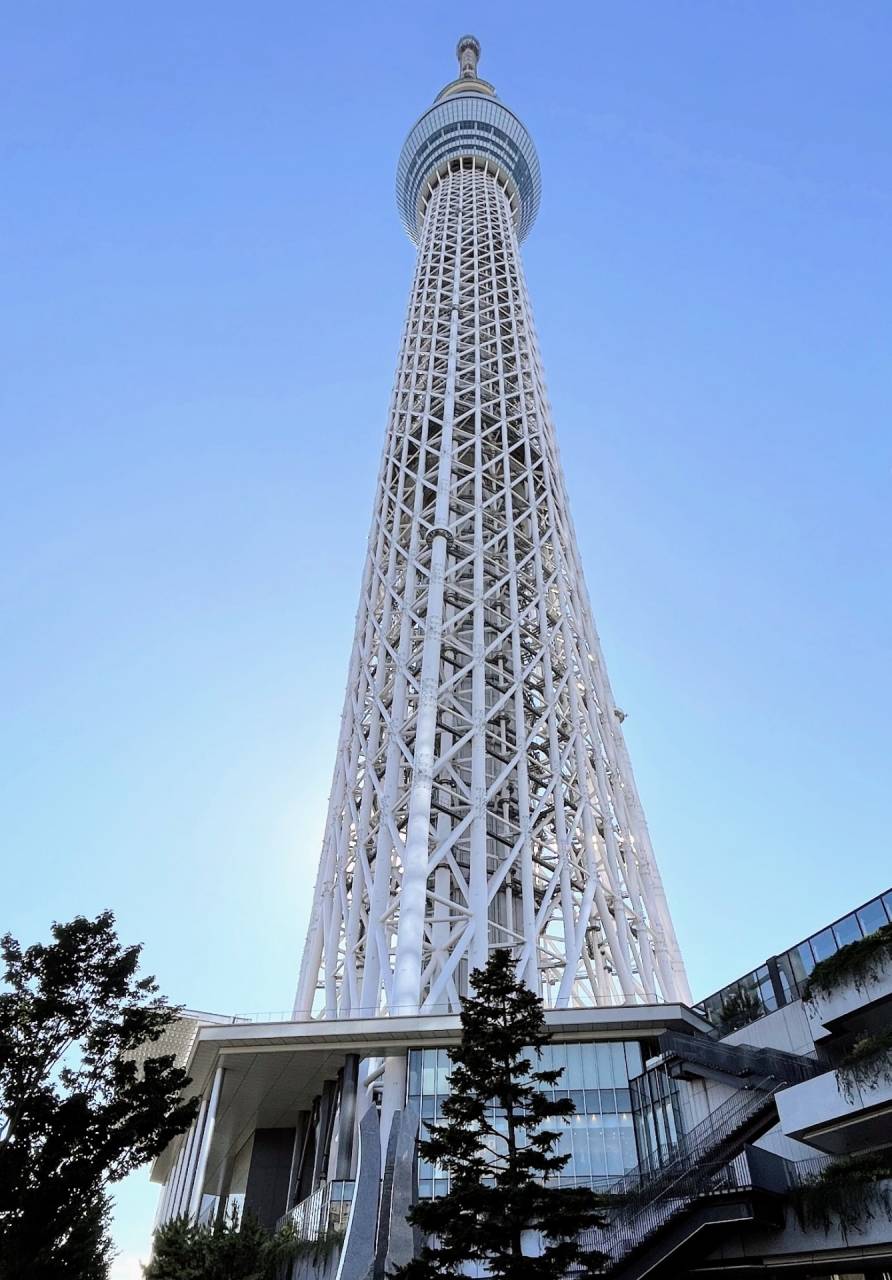 東京ディズニーリゾート®と東京2大タワー＆パンダの上野動物園　わくわく！お正月3日間【新大阪駅・京都駅発】2