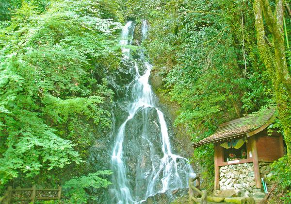 【福岡県助成金付】ぶどう1房と梨約1kgお土産付♪ 調音の滝と浮羽くだもの狩りと白壁の商家レストランで涼かごランチ1