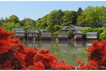【金山駅南口発】〔遊山〕＊ 日帰り昼食付＊『錦水亭のたけのこづくし会席と長岡天満宮のキリシマツツジ』1