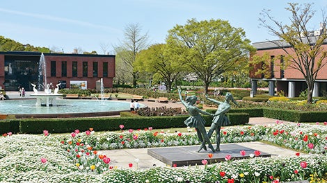 【バスハイク／天神発着】 添乗員同行 ほとめきの街久留米 巨峰ワイナリー・ごま焼酎で有名な紅乙女酒造 森のレストラン「HEURIGE」ランチ ～ワインと焼酎、久留米の味と香りをめぐる大人の美味探訪～3