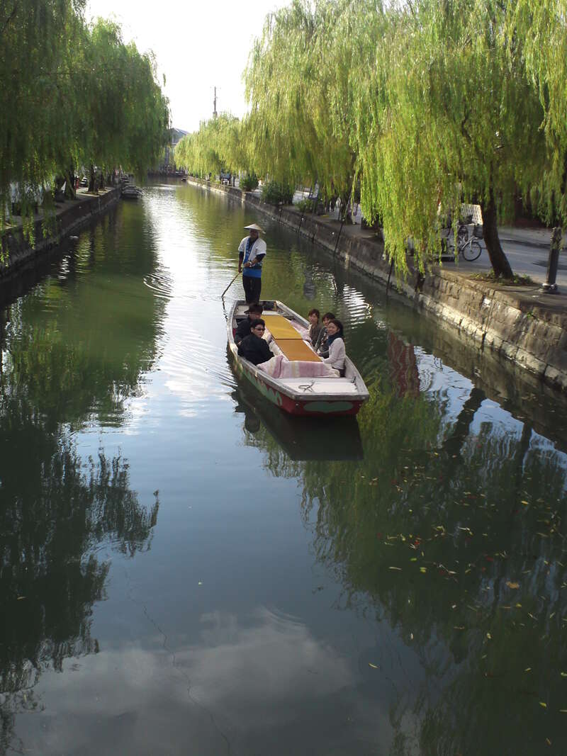 【防府・新山口発】樹齢300年＆県天然記念物・中山大藤と柳川川下りと鰻ミニせいろ御膳の昼食　日帰り2