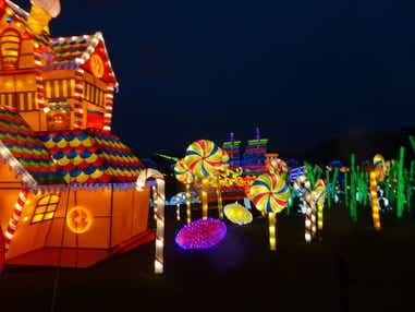 【宮城県・新幹線駅(仙台駅・白石蔵王駅・古川駅・くりこま高原駅)発】 大江戸紅葉名所めぐり「新宿御苑」「六義園」「明治神宮外苑」「上野恩賜公園」と東京ドイツ村イルミネーション 2日間