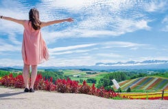 ★全日出発決定！札幌発★　富良野・四季彩の丘お花畑散策と幻想的な美瑛 青い池＆お洒落なニングルテラスをめぐる欲張り日帰りツアー3