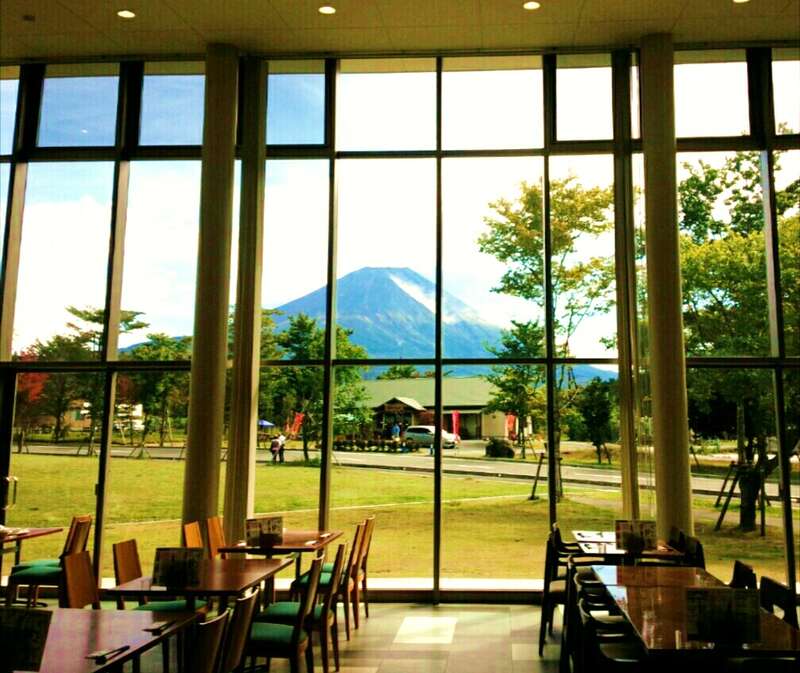 【和歌山市内ルート発】 花薫る富嶽の感動！富士山眺望春めぐり２日間1