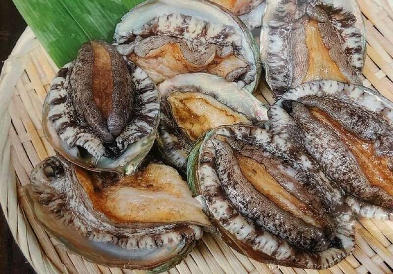 【宇部新川・小野田・厚狭発】ド・ド～ンと！焼き牡蠣＆３種のズワイガニ食べ放題！かに･牡蠣フェスティバル　日帰り3