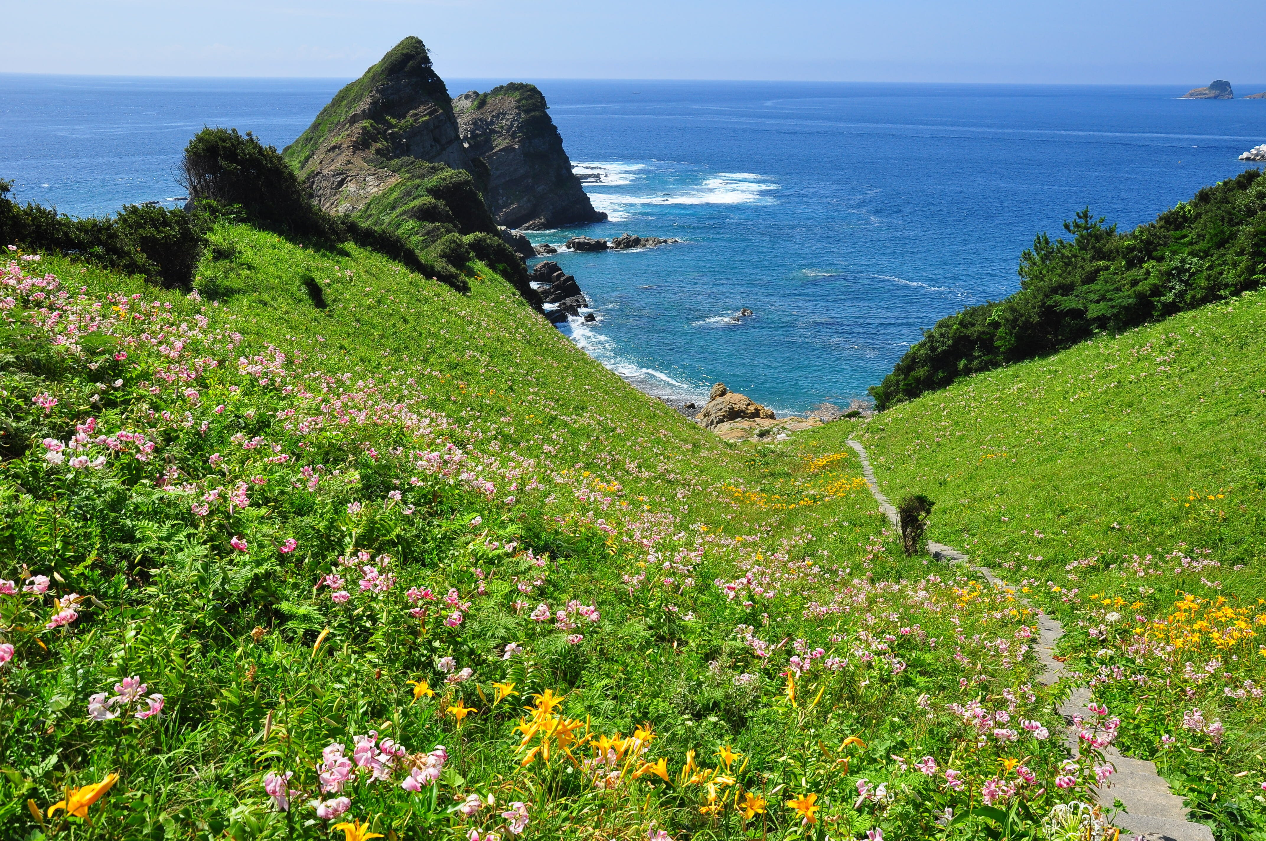 ベストシーズンに訪れる東シナ海の秘島絶景めぐり！カノコユリ彩る甑島と桜島・錦江湾ドライブ1