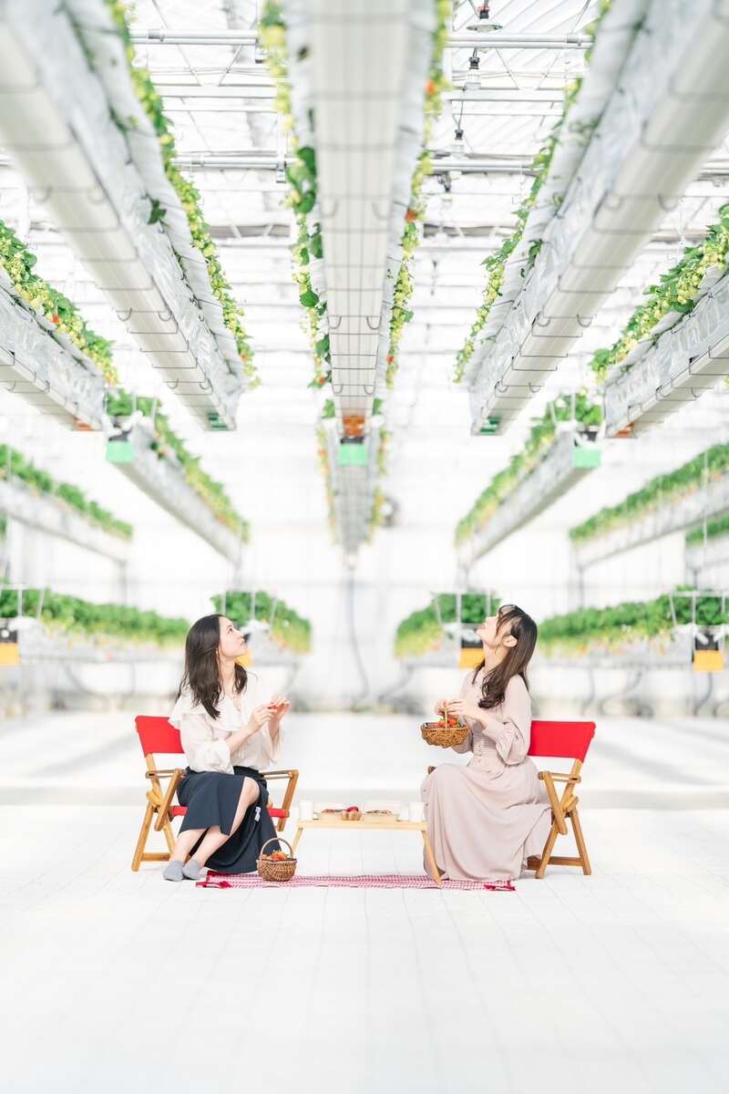 【防府・新山口発】大人のときめきバレンタインミステリーツアー　日帰り2