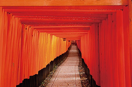  【JR利用/福井県発着/阪九フェリースイートプラン】スイートルームでの船旅と九州・近畿 3日間　花と緑が彩るハウステンボスのバラ・３つの豊臣ゆかりの地・3つの世界遺産構成資産3