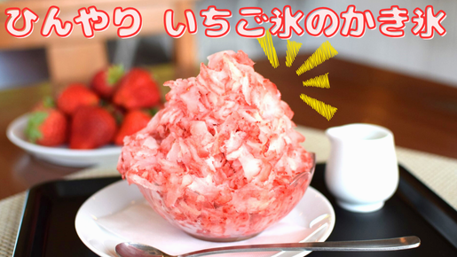 <Web割対象商品>【キングツアーバス旅】ひんやり神秘の天然クーラー大谷資料館と桃狩り&宇都宮餃子&いちご氷のかき氷〔明大前・新宿発〕3