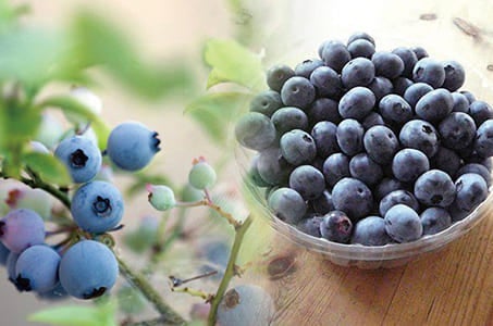 ＜山口発/2名様1室プラン＞水上温泉郷のリゾートホテル「水上高原ホテル200」に5連泊 長期滞在6日間　＜当社Aランクホテル/水上高原ホテル200に5連泊※ベット確約となります！＞2