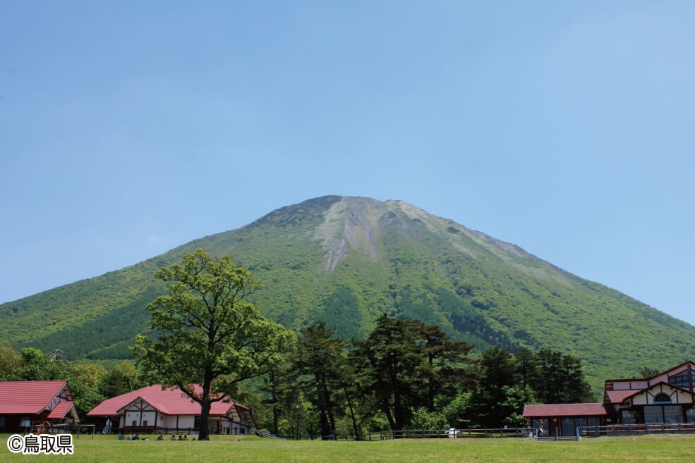 ＜鳥取＞甘酸っぱい夏！Berryサマー奥大山！大山ブルーべり狩り食べ放題＆サントリー天然水 奥大山ブナの森工場見学【垂水･名谷出発】1