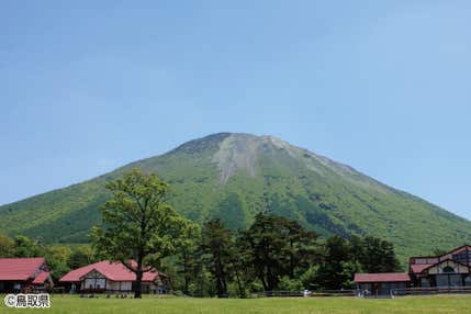 ＜鳥取＞甘酸っぱい夏！Berryサマー奥大山！大山ブルーべり狩り食べ放題＆サントリー天然水 奥大山ブナの森工場見学【垂水･名谷出発】