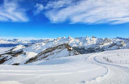 「旅せよ平日！キャンペーン」【往復新幹線指定席で行く】上越国際1泊2日【滞在中リフト入場券付】！レンタルセット＆ウェア付【夕食・翌朝食付】
