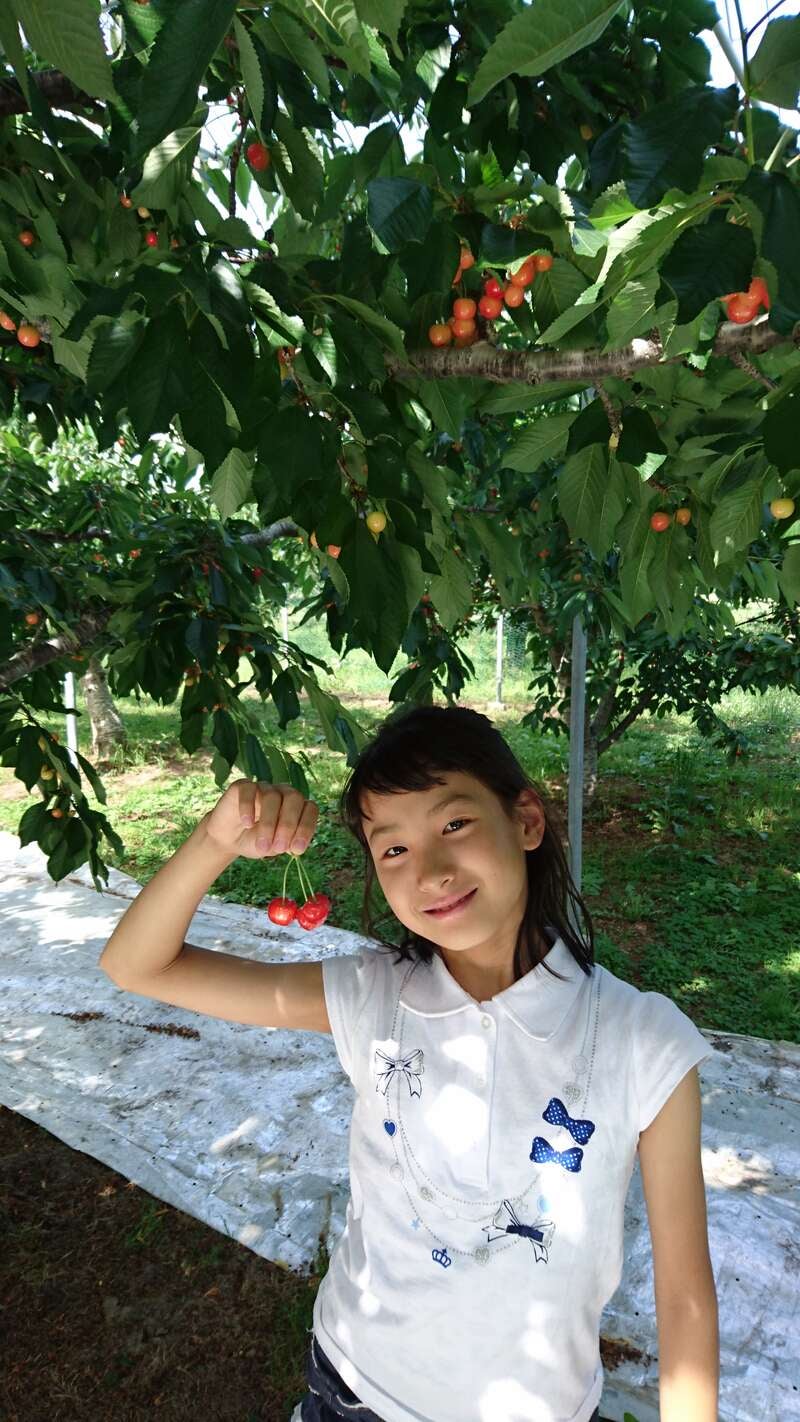 【奈良ルート発】 標高約1800ｍ！白馬山麓みずばしょうウォークと信州さくらんぼ狩り食べ放題２日間3