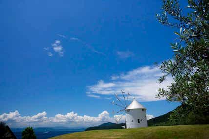 【栃木県内発】 せとうち2島めぐり「小豆島」「淡路島」と鳴門うず潮クルーズ・高松「栗林公園」・屋島3日間