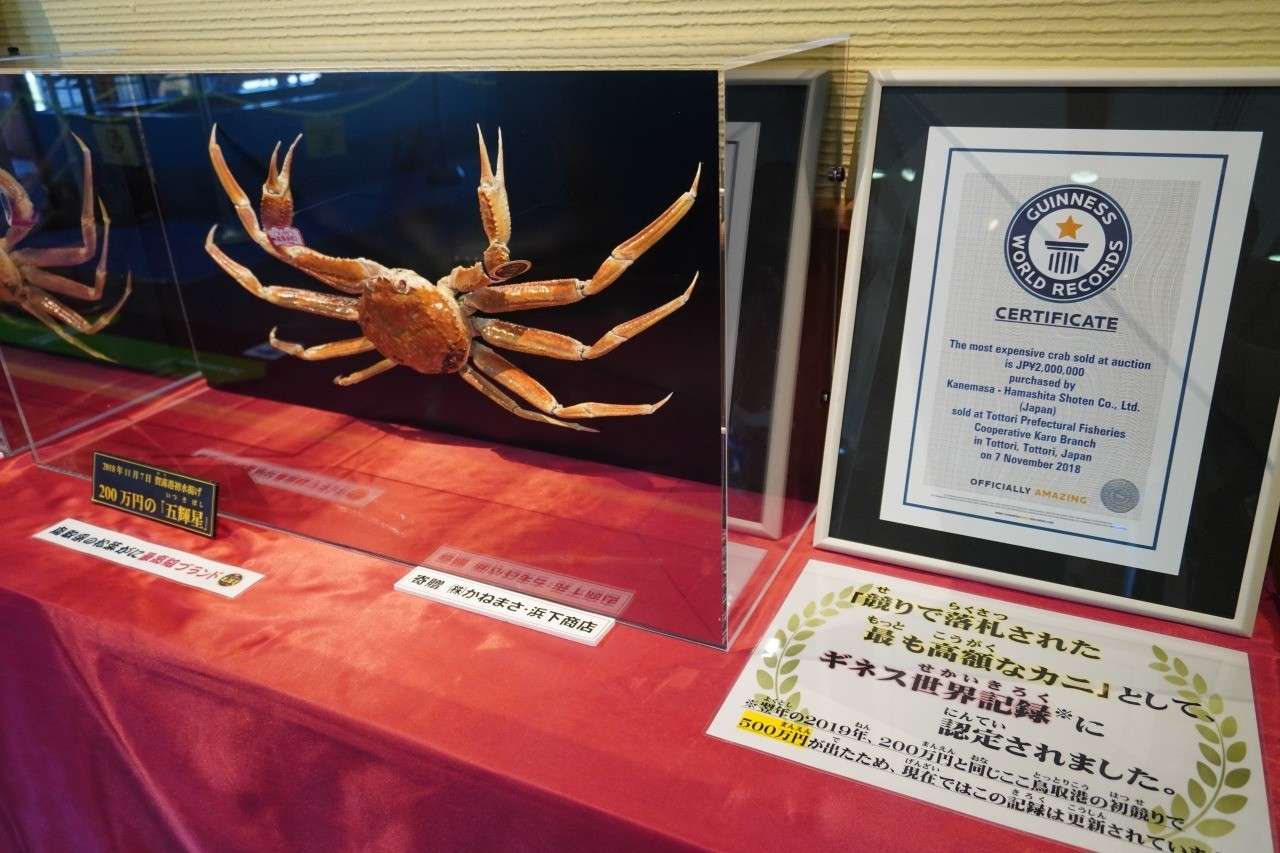 蟹取県・鳥取で食す！かに約3杯使用！かに22品料理！【枚方市・JR高槻発】3