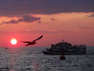 【新大阪駅・京都駅・米原駅・名古屋駅発】 日本三景「松島」初日の出クルーズと2つの世界遺産「平泉・中尊寺」と「日光東照宮」初詣　3日間