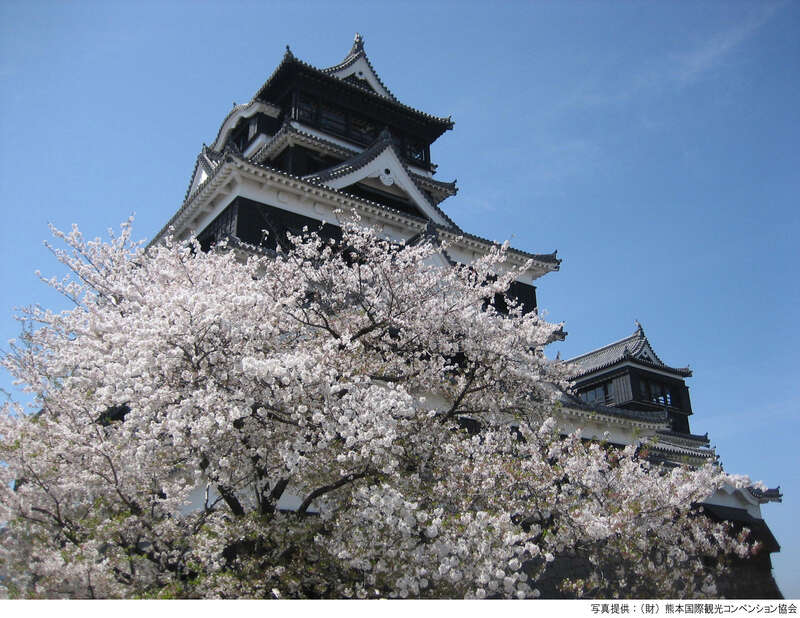 【出雲市駅・松江駅・安来駅・米子駅発】 大分・熊本「桜舞う名城・名所さくら街道」と阿蘇くじゅう絶景露天風呂2日間1