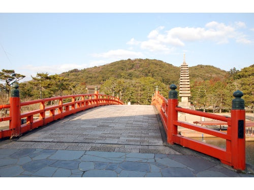 【名古屋発】日本三大桜「三春滝桜」の子桜＆世界遺産 平等院の桜＆松阪牛寿司食べ放題付き！飛騨牛・近江牛春玉出汁しゃぶ2
