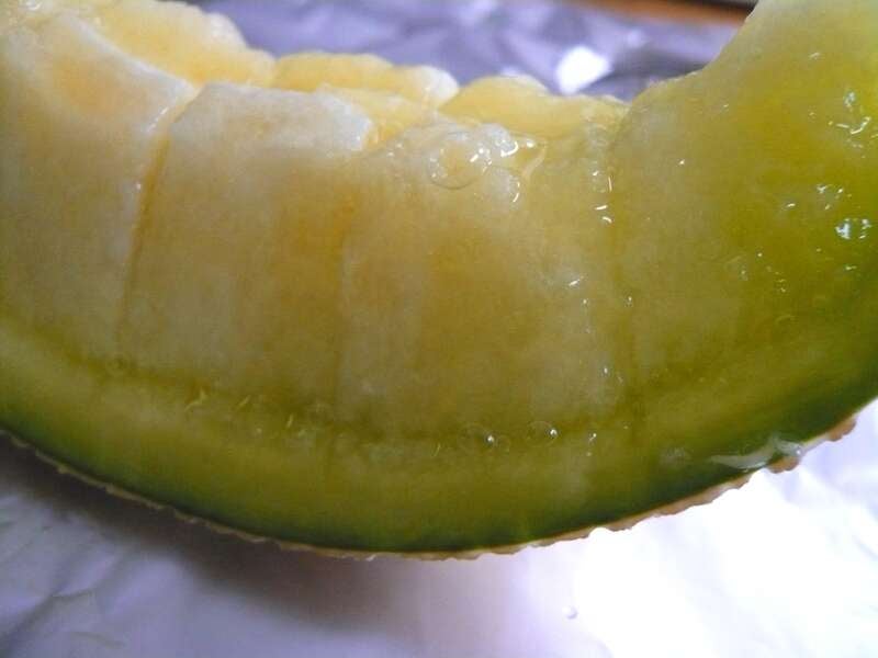 【防府・新山口発】さくらんぼ・メロン食べ放題と杜の庭園リフレッシュパーク豊浦「紫陽花の小径」 日帰り2