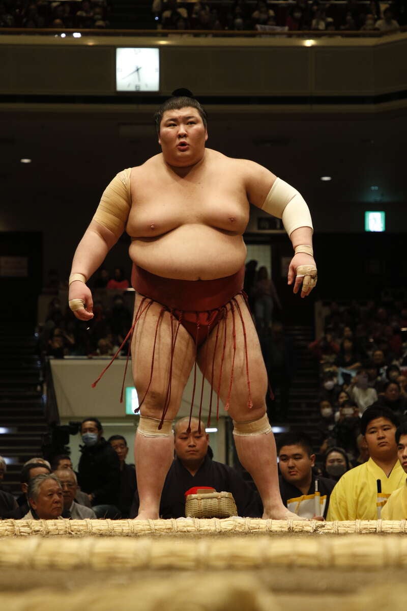 【沼津・三島発】《相撲》イス席より観戦！大相撲一月初場所生観戦ツアー ～個人では申込みできない人気親方との集合写真撮影会へご案内～　日帰り3