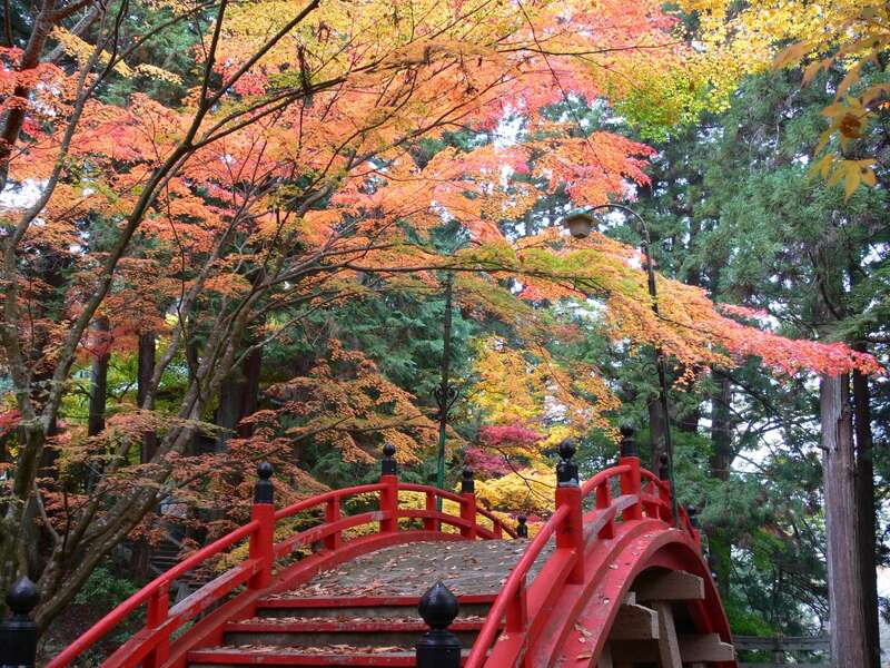 【岡山・倉敷発】 八天堂deパン・スイーツブッフェ付ランチと紅葉の佛通寺・今高野山・三景園　日帰り2