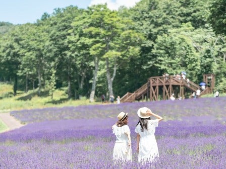 ８/２催行決定！【新宿発】長岡まつり大花火大会＆自然とアートの絶景！「清津峡」を巡る旅3