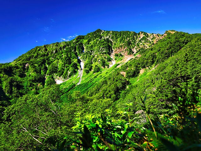 【名古屋発】■２０２６年８月２１日（金）■〔中級＋〕次晴登山部　鹿島槍ヶ岳と爺ヶ岳　２泊３日　★次晴登山部会員割引対象ツアー 　日本百名山と名峰を歩く旅　　♪名鉄の泊りトレッキング1