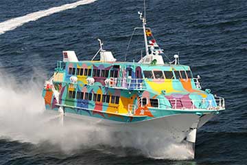 【往復ジェット船で🛥️春爛漫の伊豆大島へ！/東京発】”日本一の椿の島”伊豆大島ジオパーク椿まつり！1