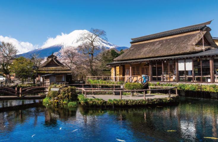 【大特価】[西船橋/東京発]河口湖でパワーチャージ旅！ズワイガニ食べ放題の豪華ランチと富士山麓のパワースポット巡り&神秘の絶景「忍野八海」で満福♪日帰りバスツアー3