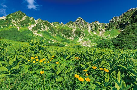 【徳島駅・松茂発着】専門山岳ガイドと歩く千畳敷カールと3つの遊覧で巡る信州5景 3日間　☆往復新幹線利用（JR新神戸駅～JR名古屋駅間）☆1