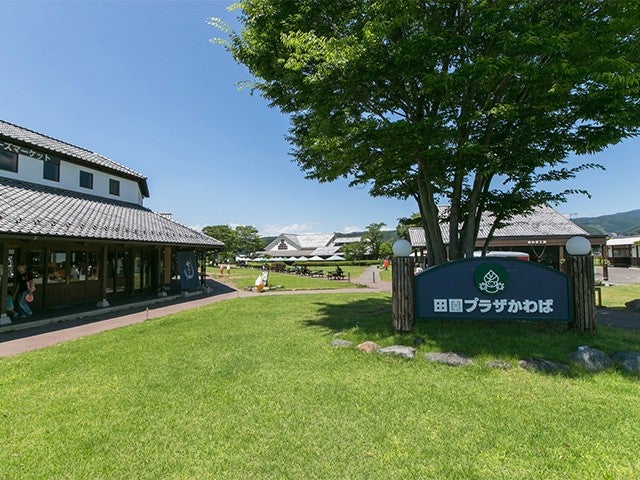 ■【群馬・栃木】春の楽園♪世界一美しいふじのはな物語「あしかがフラワーパーク」＆いちご狩り食べ放題＆特選牛すき焼きと甘エビ食べ放題＆道の駅 田園プラザ川場でお買い物！3