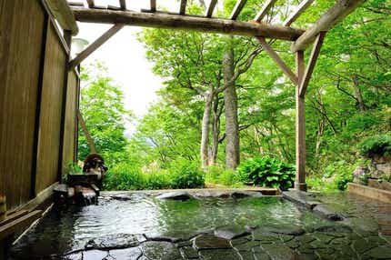 【神奈川県内・町田発】 ～標高1670m！国立公園に位置する雲上ホテルに泊まる！～　１泊３食付！高原温泉ミステリーツアー２日間