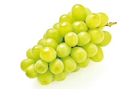 【名古屋】シャインマスカット・巨峰または国産米お持ち帰り 3つの「活」と近江牛を食す秋のごちそう旅 滋賀日帰り 「活」にこだわった秋のグルメツアーをご用意♪