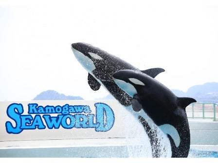 【横浜発】鴨川シーワールド＆マザー牧場1