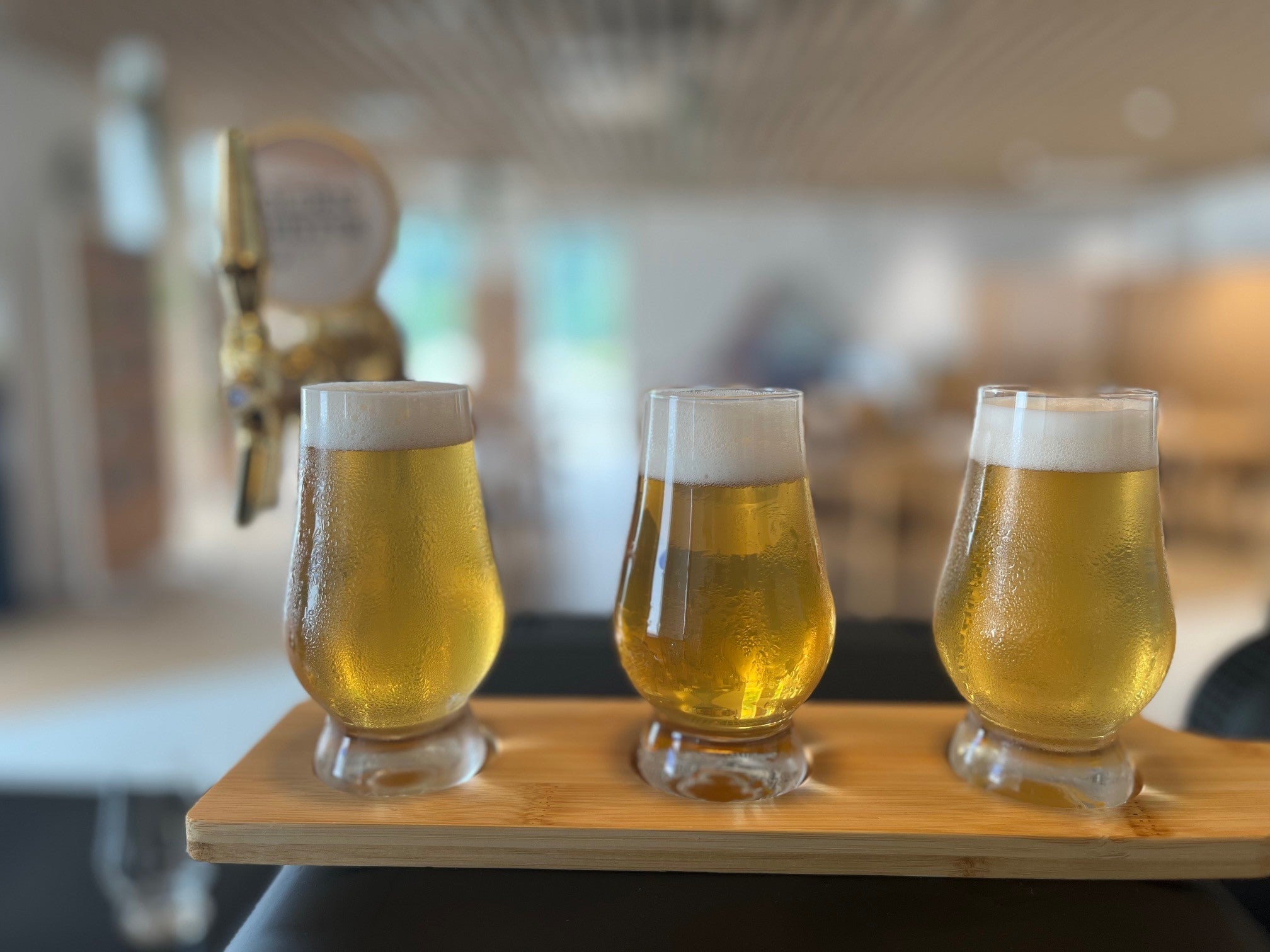 【埼玉県内発】 今年オープン！富士山麓のFUJI PREMIUM BREWING 大人箱根旅日帰りバスツアー2