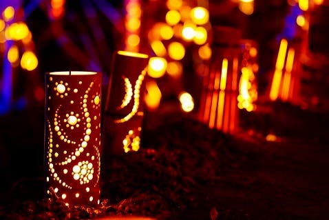 【YUI PRIMAで行く】赤目の幻想的で深淵なる森に出会う旅  苔と滝と竹あかり2