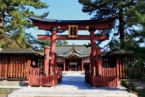 【木曽川・一宮発】＊日帰り昼食付＊『ゆでガニ1杯付き！握り寿司御膳＆たけふ菊人形』3