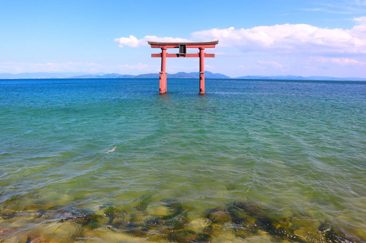 2大紅葉めぐり！赤の絨毯！鶏足寺「もみじの旧参道」とマキノピックランド「メタセコイア並木」の紅葉【久宝寺・近鉄八尾・八戸ノ里・新石切発】3