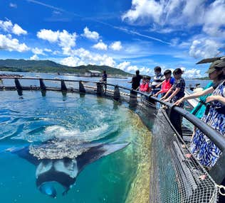 【羽田空港発】 《KoDoMoわんぱクラブ》夏休み・やんばる星空観望と無人島カヤック冒険ツアーIN沖縄国頭村(4日間)