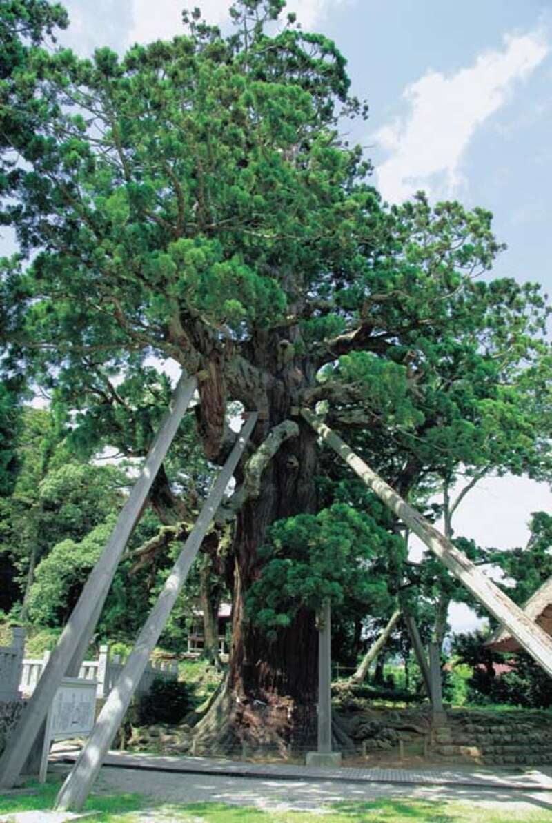 【七類港発】 お気軽隠岐の島！パワースポット玉若酢命神社と隠岐国分寺・牛突き見物　日帰り3