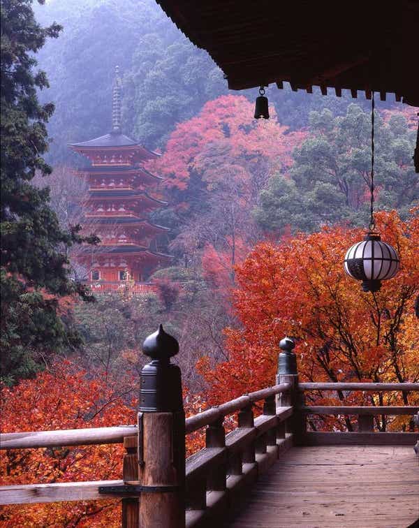 【和歌山市内ルート発】 秋の大和路　紅葉名所「談山神社」「長谷寺」と日本最古の神社「大神神社」　日帰り2