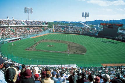 プロ野球宮崎春季キャンプ　ソフトバンクホークスor読売ジャイアンツor野球日本代表　日帰りバスツアー🚌
