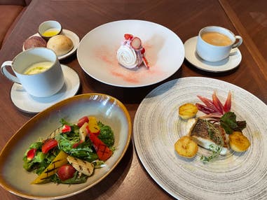 【福山発着】万博記念公園 約250品種約2,400株のバラが楽しめる VOCO大阪セントラル FOPツアーオリジナルバラをイメージしたランチ