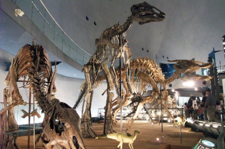 【栃木・群馬・茨城発着】本場・福井で食す タグ付き越前がに 10の口福グルメと美しき北陸10景 3日間　＜JR西日本×山代温泉観光協会×ふくいやまぎわ天下一街道 タイアップ企画＞1