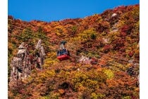 【名古屋駅発】＊日帰り食事なし＊～ＷＥＢ予約限定～『伊勢神宮　朔日参り（昼食なし・自由昼食プラン）』