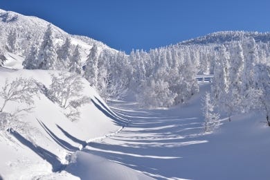 ＜山歩き旅行＞樹氷の八甲田山と奥入瀬渓谷スノーシュー＆冬の風物詩「ストーブ列車」 3日間（青森）