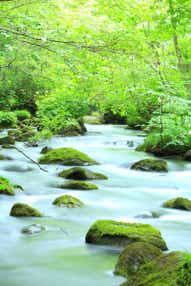 【東京駅・上野駅・大宮駅・宇都宮駅発】 計7回の食事付!バスガイド同行・はじめての東北3日間